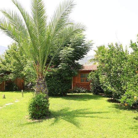 Tunays Pansiyon Bed and Breakfast Çıralı Exteriör bild