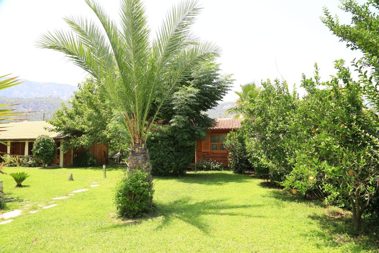 Tunays Pansiyon Bed and Breakfast Çıralı Exteriör bild