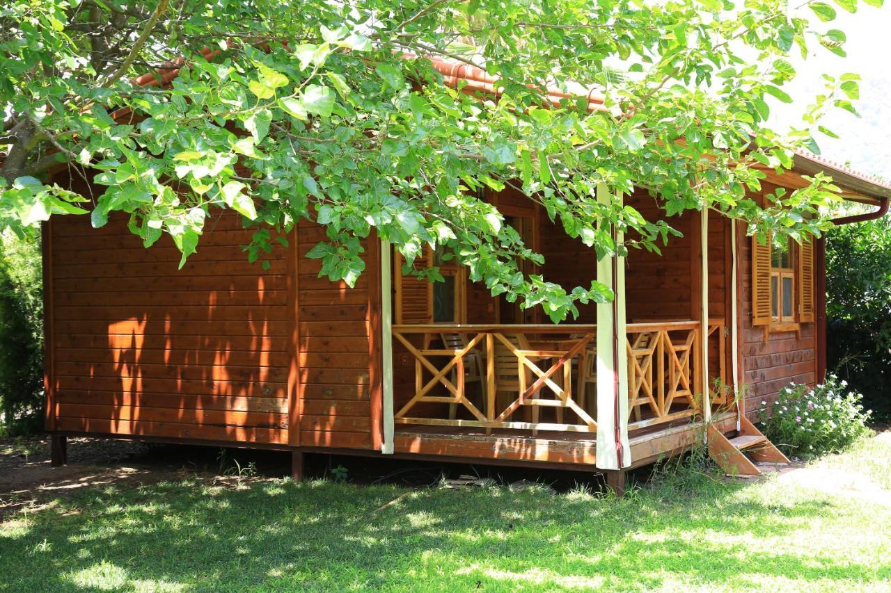 Tunays Pansiyon Bed and Breakfast Çıralı Rum bild