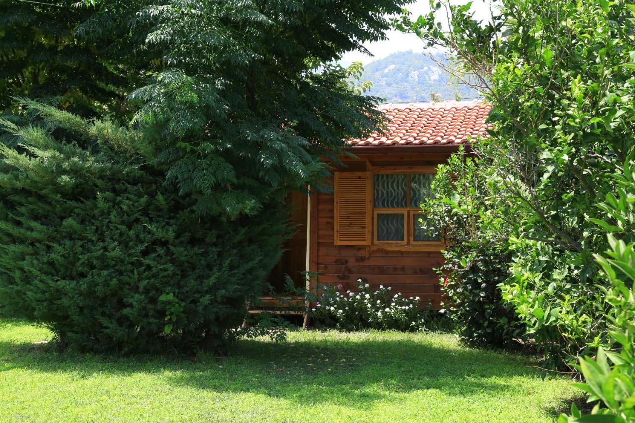 Tunays Pansiyon Bed and Breakfast Çıralı Rum bild
