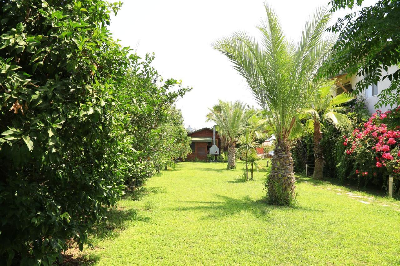 Tunays Pansiyon Bed and Breakfast Çıralı Rum bild
