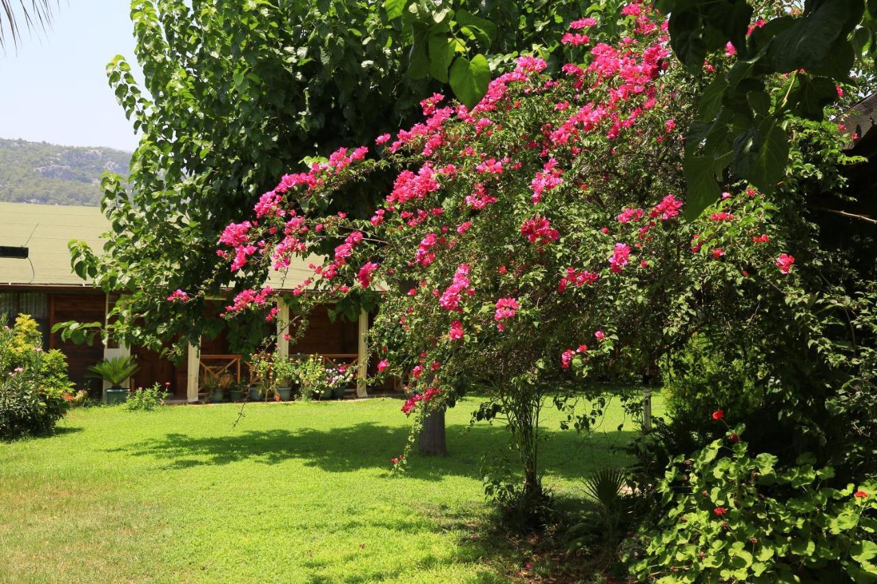 Tunays Pansiyon Bed and Breakfast Çıralı Exteriör bild