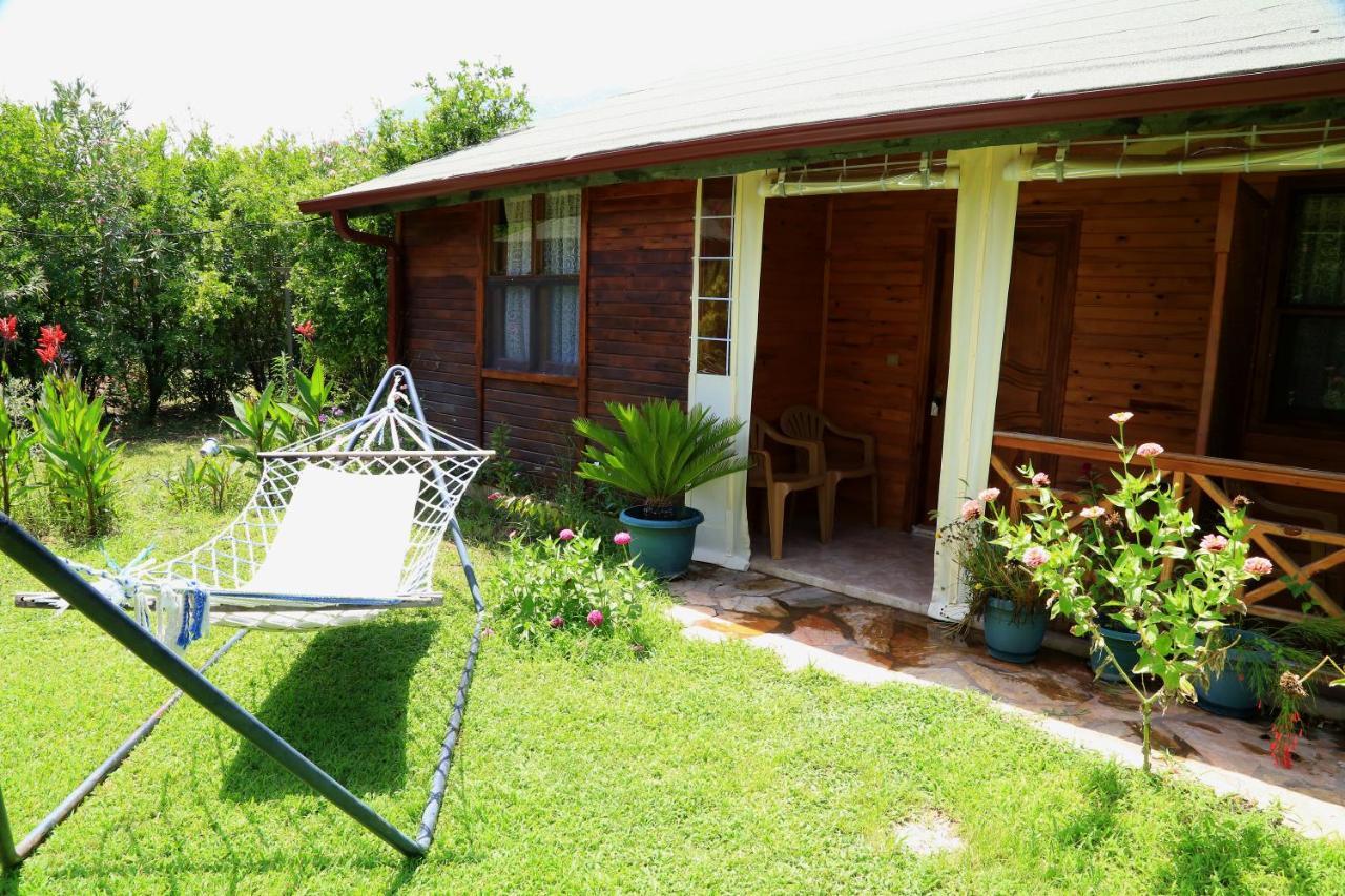 Tunays Pansiyon Bed and Breakfast Çıralı Rum bild