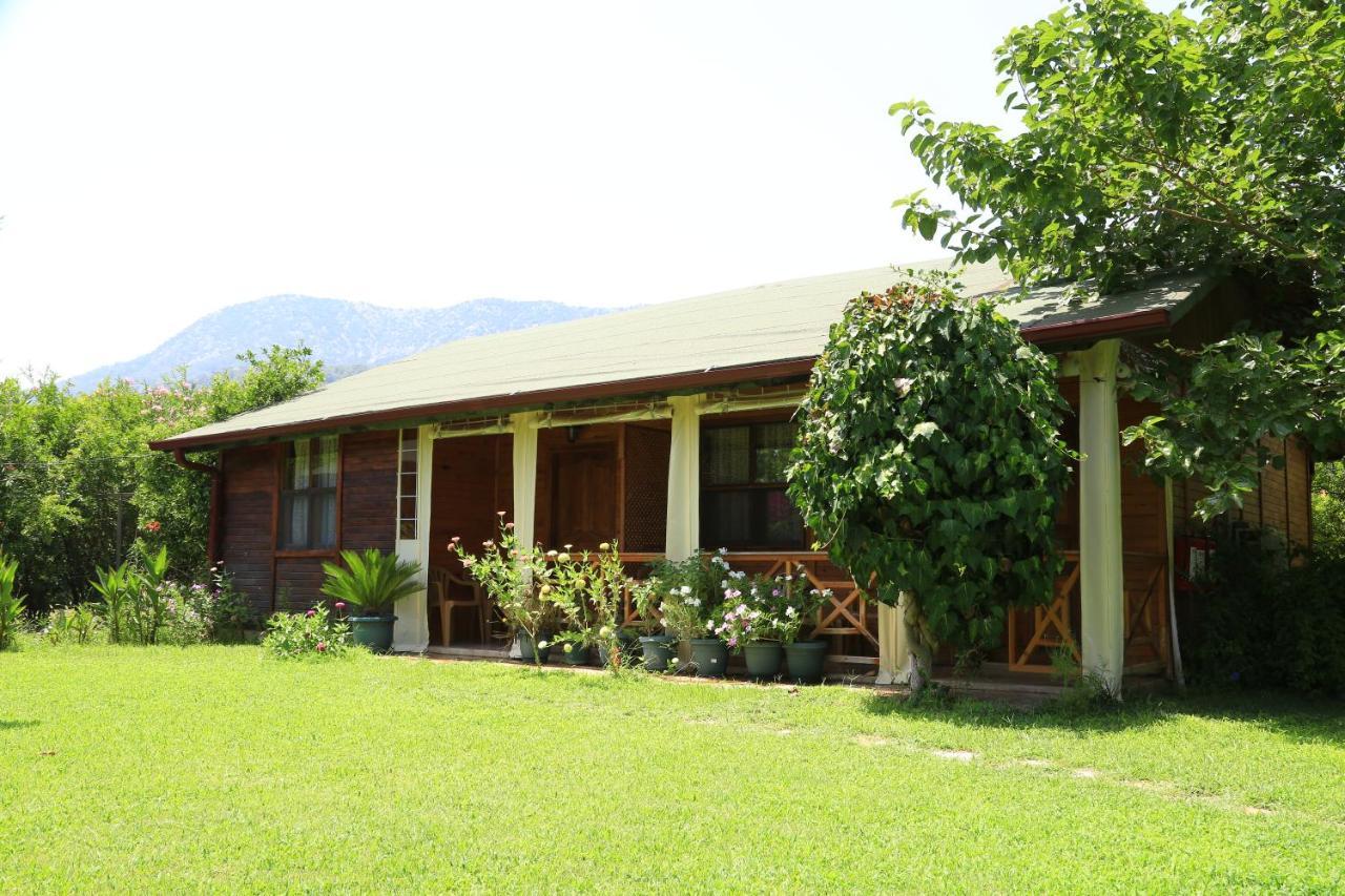 Tunays Pansiyon Bed and Breakfast Çıralı Rum bild